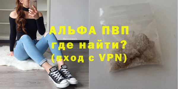 стаф Алексин