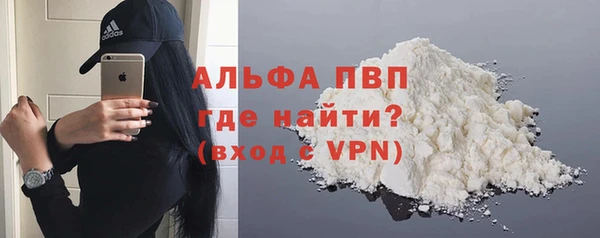 стаф Алексин