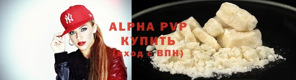 стаф Алексин